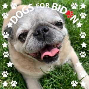 Meet your Posher, Makenna